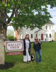 Violet visiting Malley Farm