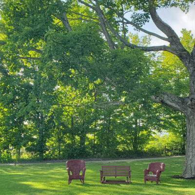 front yard