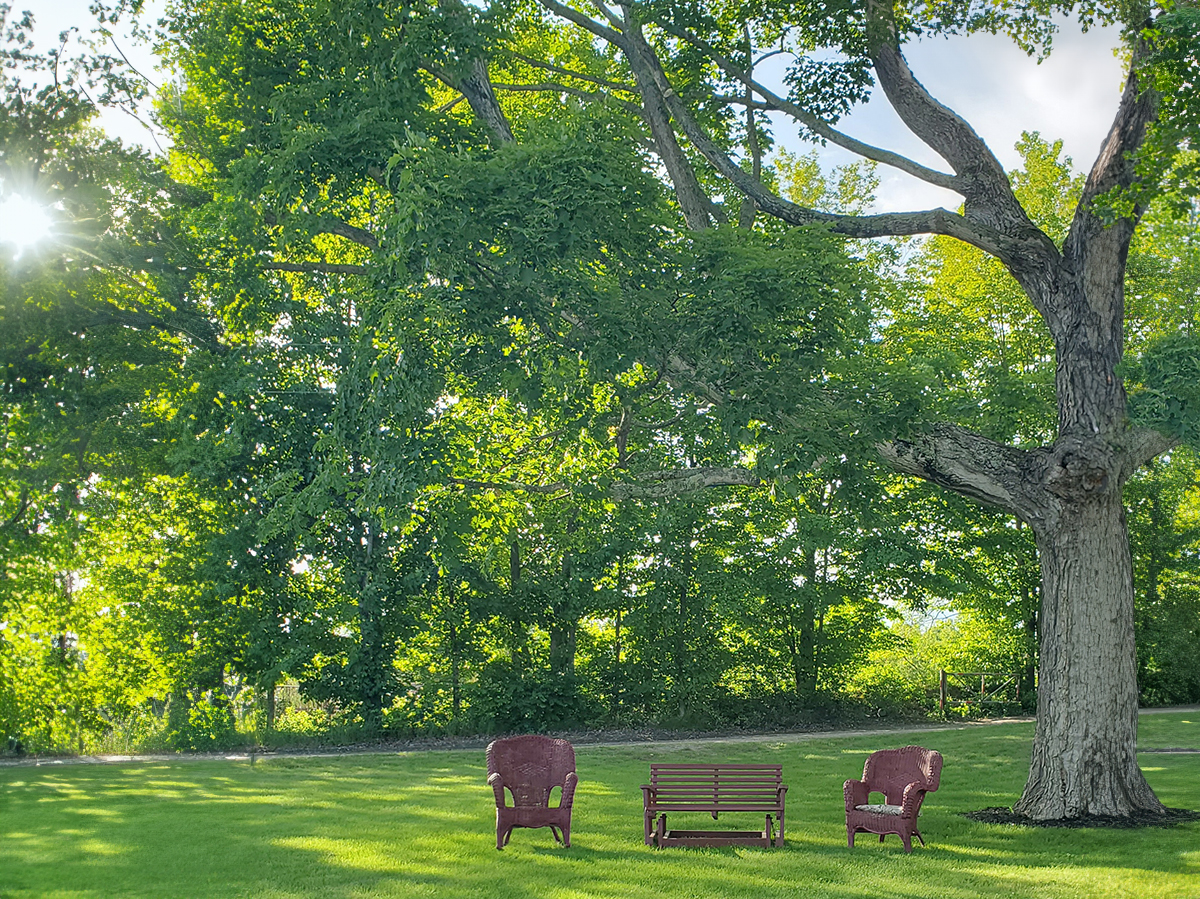 The front yard at Malley Farm